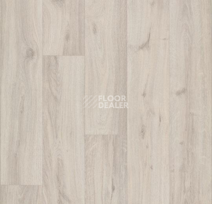 Линолеум Forbo Eternal Wood 10842 cream oak фото 1 | FLOORDEALER